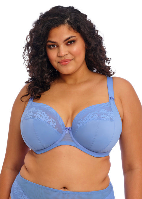 Nerina Plunge Bra - Cornflower