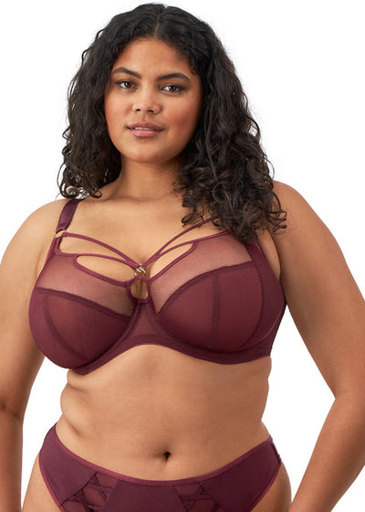 Sachi Plunge Bra - Cabernet