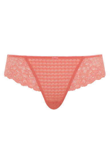 Envy Brazilian Panty - Terracotta