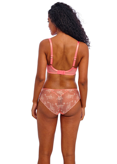 Offbeat Decadence Lace Brief - Sunset Coral