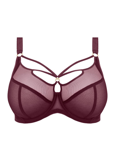 Sachi Plunge Bra - Cabernet