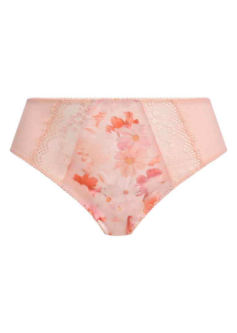 Lucie High Leg Brief - Cosmos